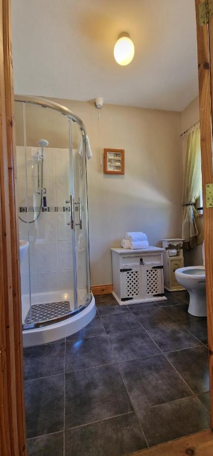 Littlefield B&B Durrow, Laois Exterior photo